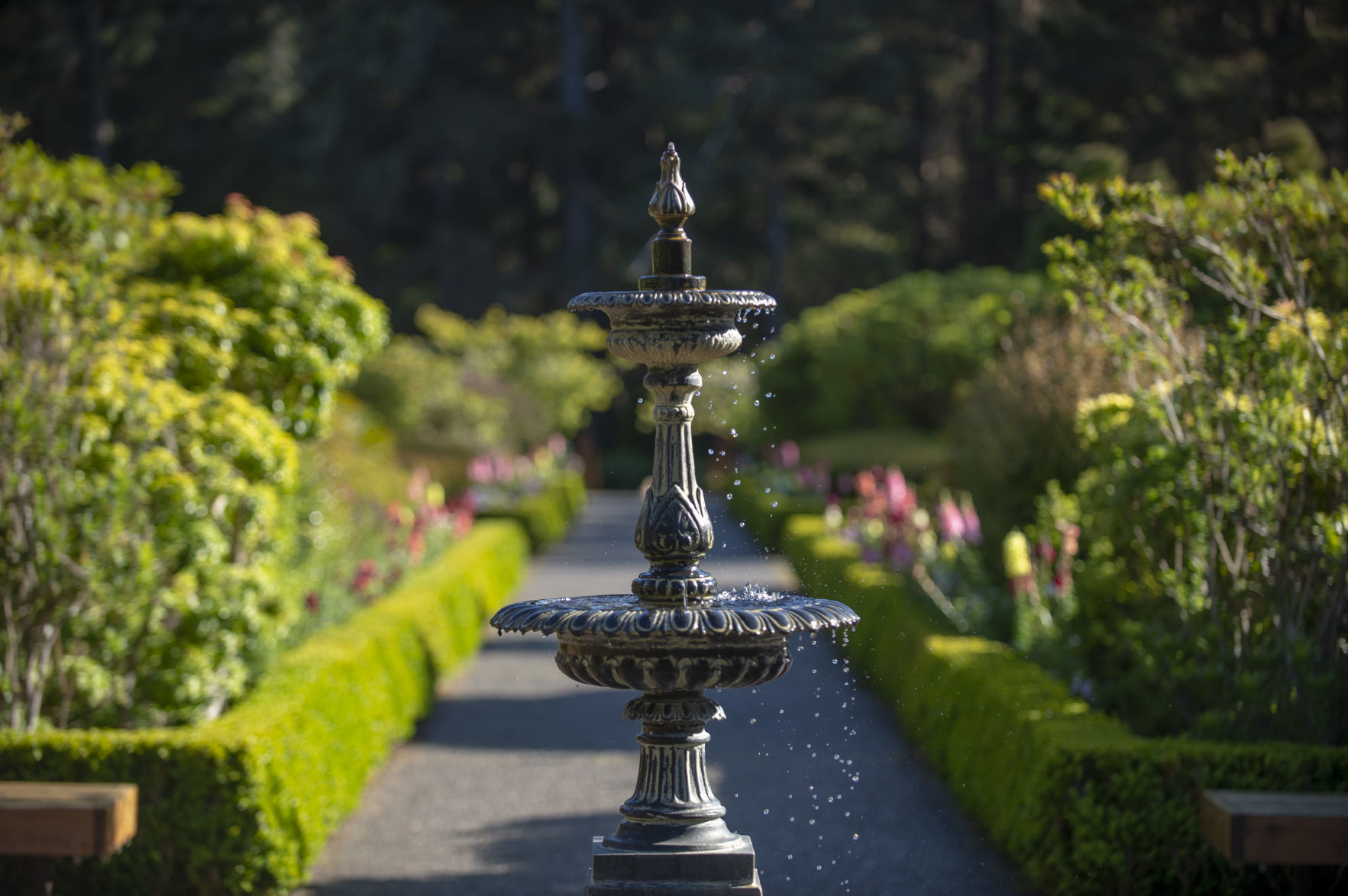 Shore Acres Gardens